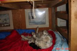 DEER CAMP 2007 036.jpg